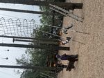 IMG_6774.JPG