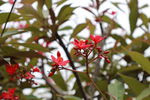 IMG_0677.JPG