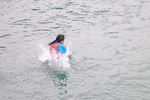 IMG_0861.JPG
