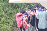 IMG_0960.JPG