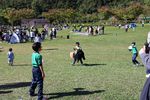 IMG_6916.JPG