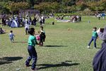 IMG_6917.JPG