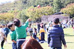 IMG_7007.JPG