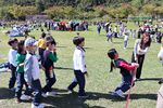 IMG_7056.JPG