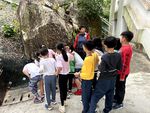 IMG_2166.jpg