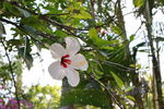 IMG_5298.JPG