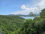 IMG_5666a.jpg