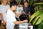 IMG_5685.JPG