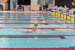 DSC_5148_DxO.jpg