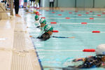DSC_5288_DxO.jpg