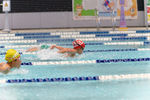 DSC_7105_DxO.jpg
