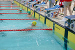 DSC_7629_DxO.jpg