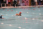 IMG_7960.JPG
