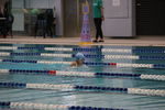 IMG_7962.JPG