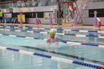 IMG_7981.JPG