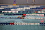 IMG_8058.JPG