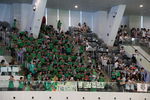 IMG_8288.JPG
