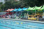 Copy of DSC05299.jpg