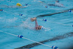 Copy of DSC05370.jpg