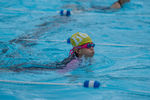 Copy of DSC05757.jpg