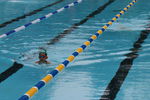 IMG_8172.JPG