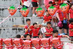 IMG_8178.JPG