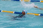 IMG_8305.JPG