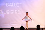 IMG_1550.JPG